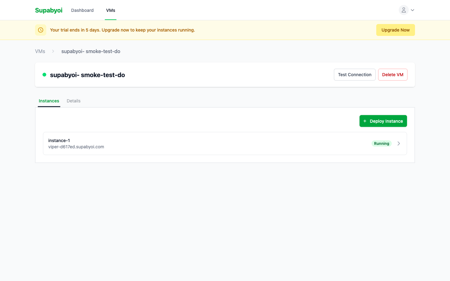 VM detail page showing connected status and deployed instances